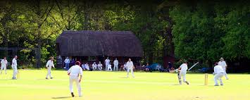 Image result for Buscot Park Cricket Club