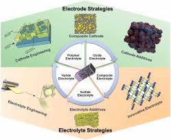 Attēlu rezultāti vaicājumam “Conardia compacta macro”