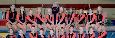 Image result for Ingleby Gymnastics Club