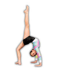 Image result for Elements Acro