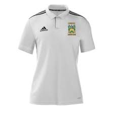 Image result for Gilberdyke Cricket Club