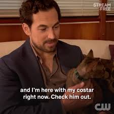 Image result for Wild Cards