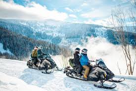 Image result for snowmobile