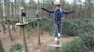 Image result for The Go Ape Experience (Swinley Forest)