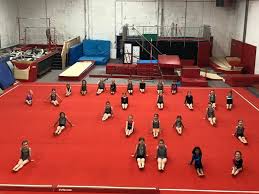 Image result for Stockport School Of Gymnastics