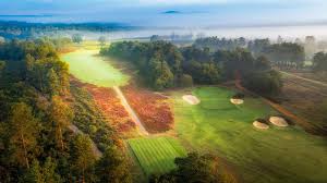 Image result for Hankley Common Golf Club