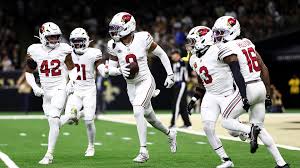 Image result for Ipswich Cardinals American Football Club
