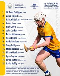 Image result for Clarehurlers