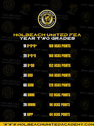 Image result for Holbeach United Youth Teams Football Club