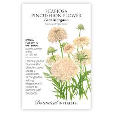 Attēlu rezultāti vaicājumam “fata morgana”