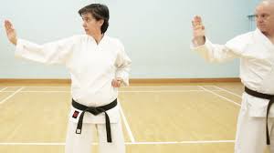 Image result for Colchester Wado Ryu Karate