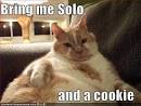 Humorous Pictures