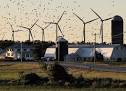 Wind turbine placement should take migrating birds into