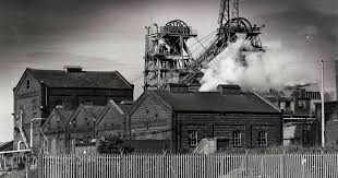 Image result for St Helens Miners