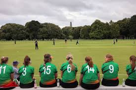 Image result for Old Dorkinian Cricket Club