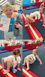 Image result for Brumby Gymnastics Club
