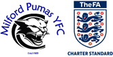 Image result for Milford Pumas Football Club