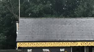 Image result for Ashdon Cricket Club
