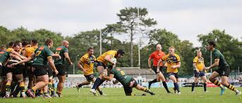 Image result for Henley Rugby Football Club