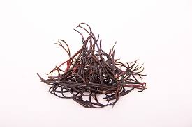 Attēlu rezultāti vaicājumam “Furcellaria lumbricalis”