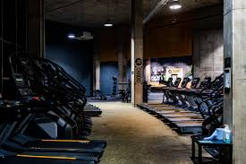 Image result for City Of Coventry Rhythmic Gym Club