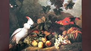 Attēlu rezultāti vaicājumam “Galium album fruit”