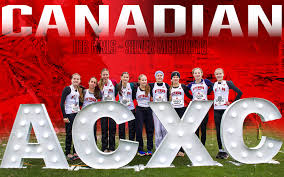 Image result for Ottershaw Girls Fc