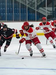 Image result for York University Street Hockey Club