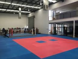 Image result for Martial Art Centre of Excellence