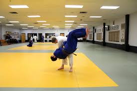Image result for Tora-Kai Judo