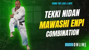 Image result for enpi dojo