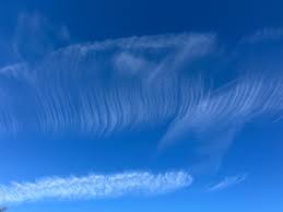 Attēlu rezultāti vaicājumam “Cirrus fibratus”