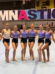 Image result for Cardiff Olympic Gymnastics Club