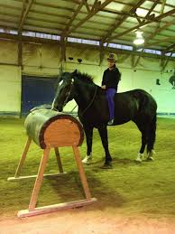 Image result for Windrush Vaulting Group