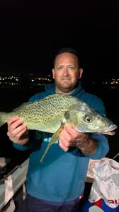 Image result for Pomadasys commersonnii