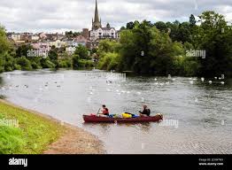 Image result for Ross Rowing Club