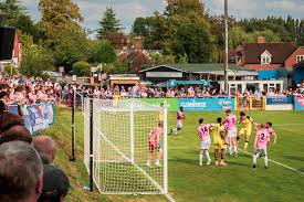 Image result for Wrecclesham Football Club