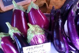 Afbeeldingsresultaat voor fengyuan purple eggplant