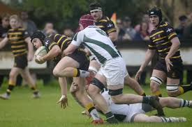 Image result for North Dorset Rugby Football Club
