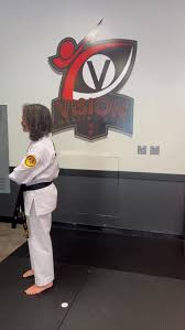 Image result for Vision Martial Arts