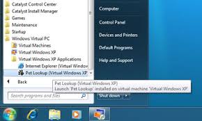 Image result for маскот Windows 7