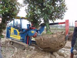 Image result for roboflail tehron