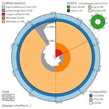 Attēlu rezultāti vaicājumam “Schizotus pectinicornis larva”