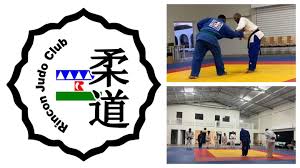 Image result for Horndean Zen Judo Club