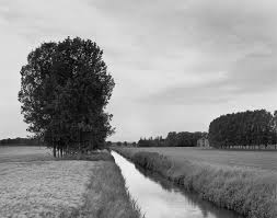 Image result for David Heald