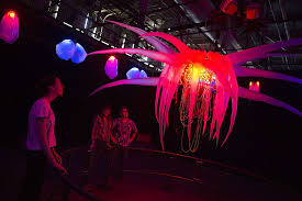 Image result for Exploratorium%20bubble