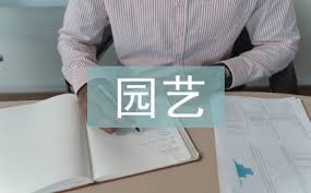 Image result for 艰苦阅历 孔泰初