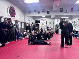 Image result for Komaru Ryu Small Circle Jujitsu/Karate