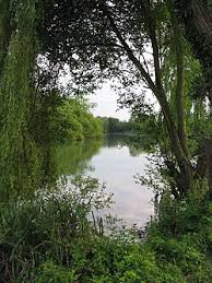 Image result for Burghfield Sailing Club