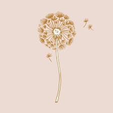 Image result for diente de leon